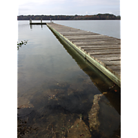 Newport News King Tide image